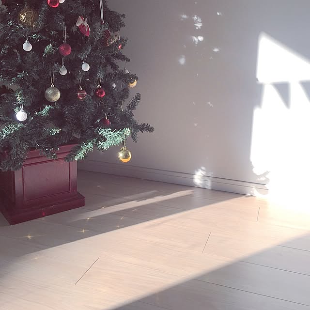 pingpongさんの実例写真