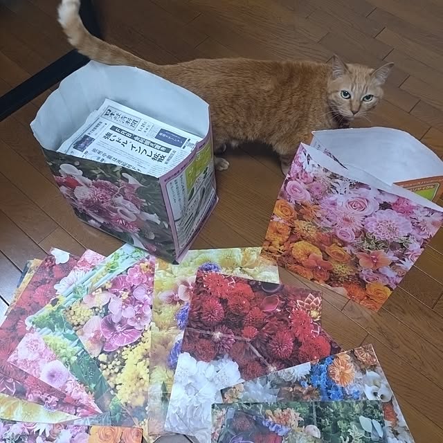 NOAHさんの実例写真