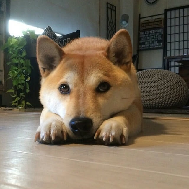 kさんの実例写真