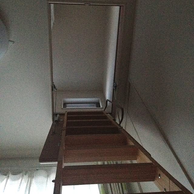 dicekbeetleさんの実例写真