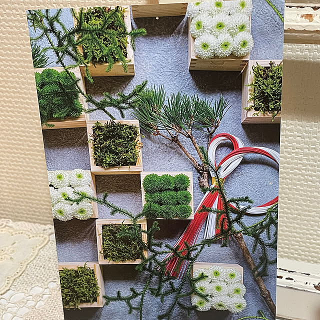 koko6stkさんの部屋