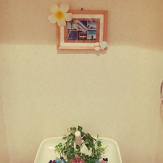 ayumiさんの実例写真