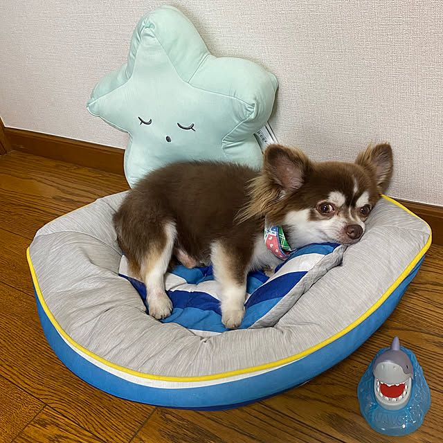 chIoeさんの実例写真
