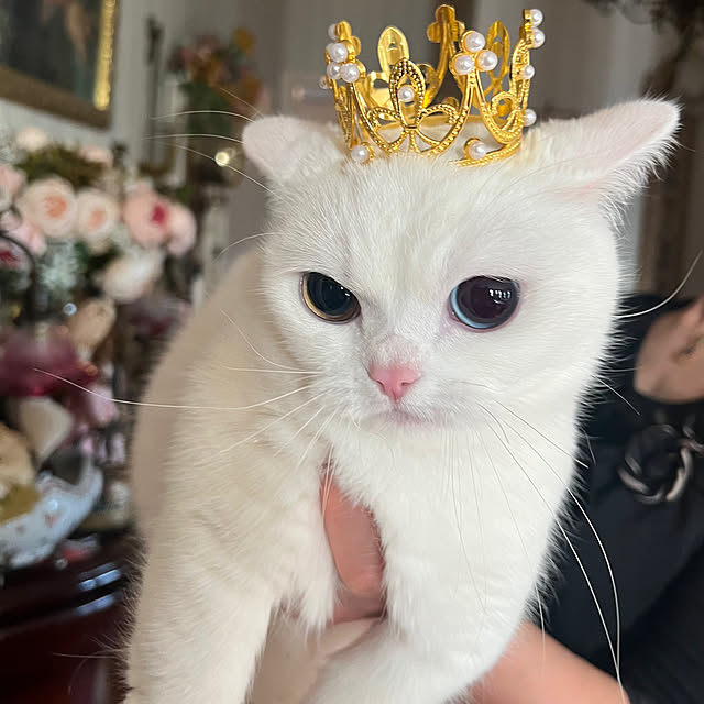 AYUKOさんの部屋