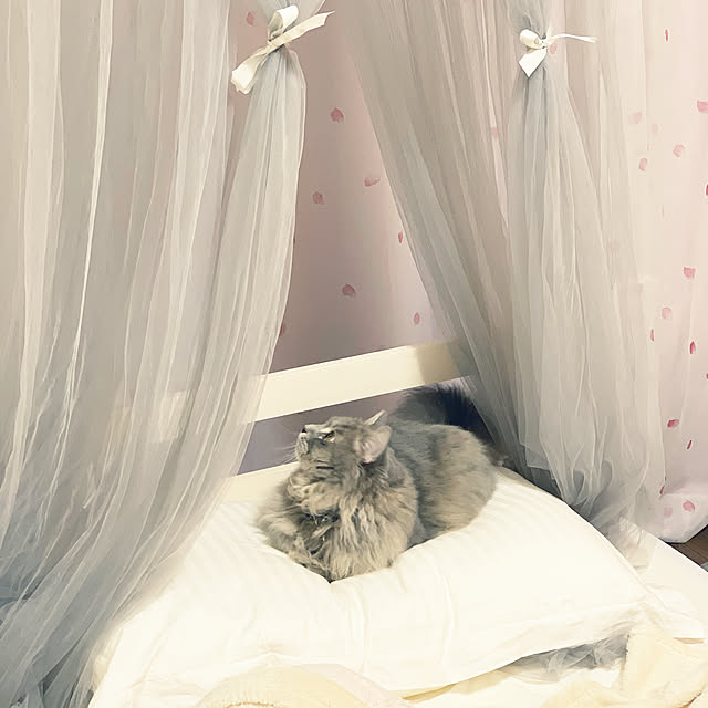 hal23さんの実例写真