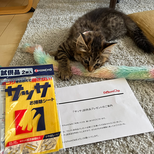 nekozo328さんの実例写真