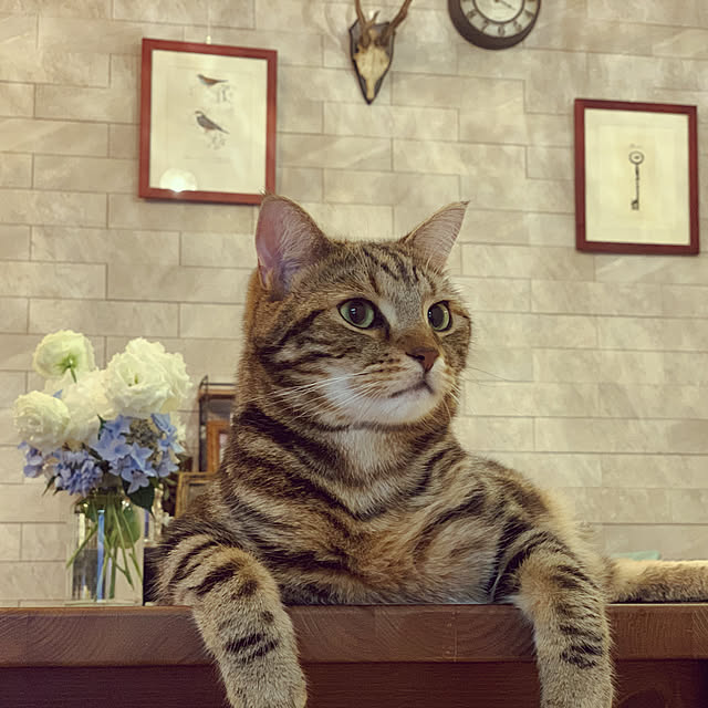 Risaさんの実例写真