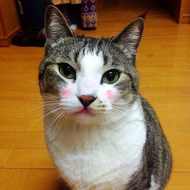 asianoneさんの実例写真