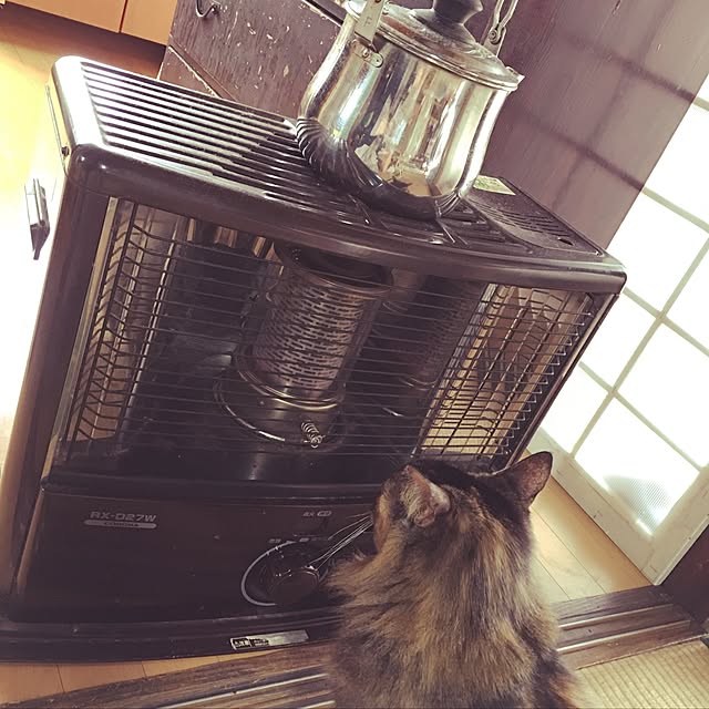 Miさんの実例写真
