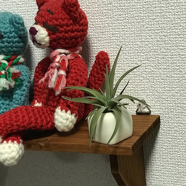 Junさんの実例写真