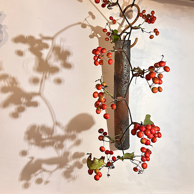 akaidarumaさんの実例写真