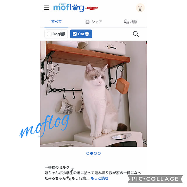 milkcocoaさんの部屋