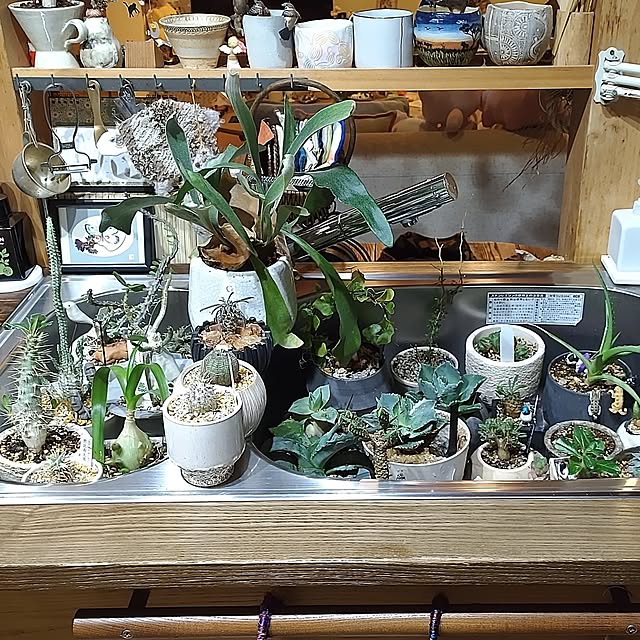 t.yumiさんの実例写真