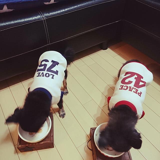 lovepeaceさんの実例写真
