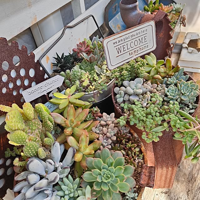 teruminさんの部屋