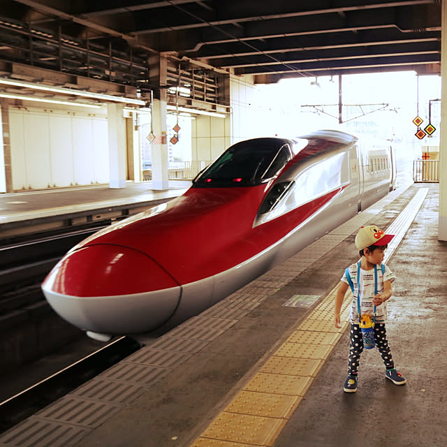 実例写真