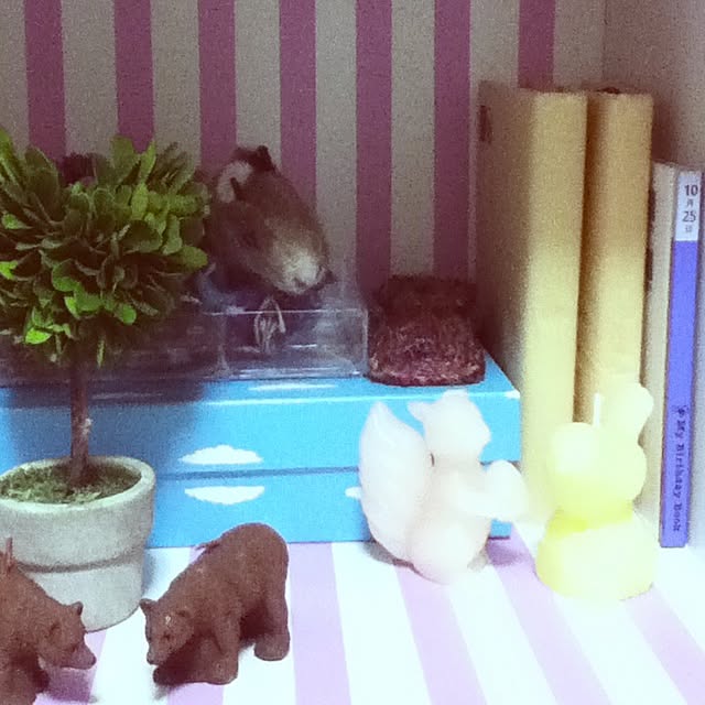 mielさんの実例写真