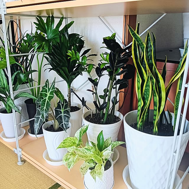 hanachanさんの部屋