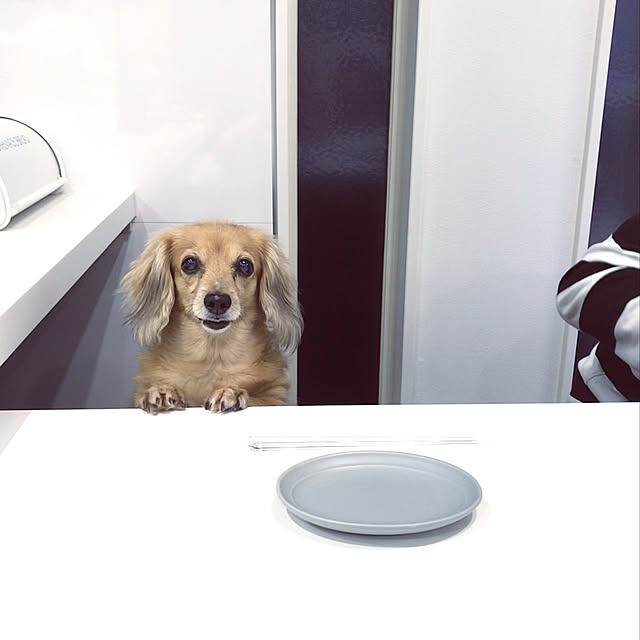 LaLaさんの実例写真