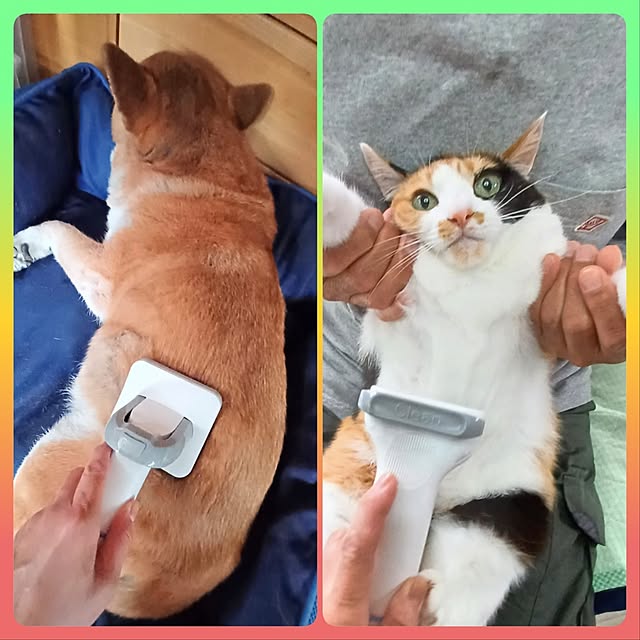 nanaさんの部屋