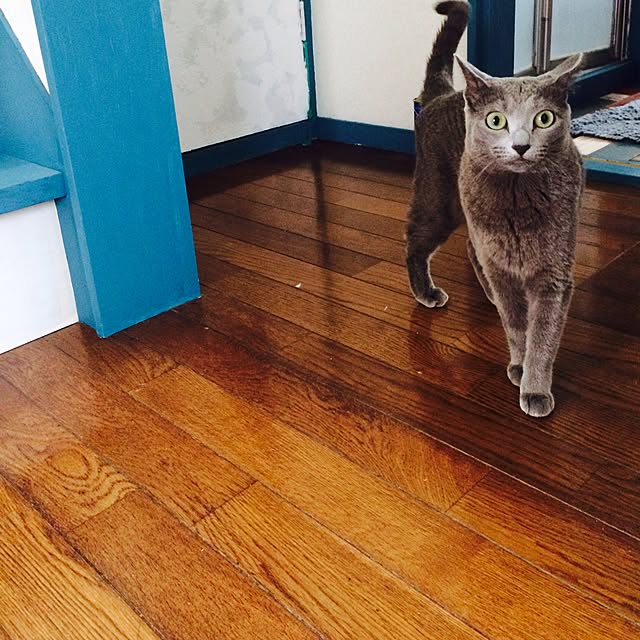 komugiさんの実例写真