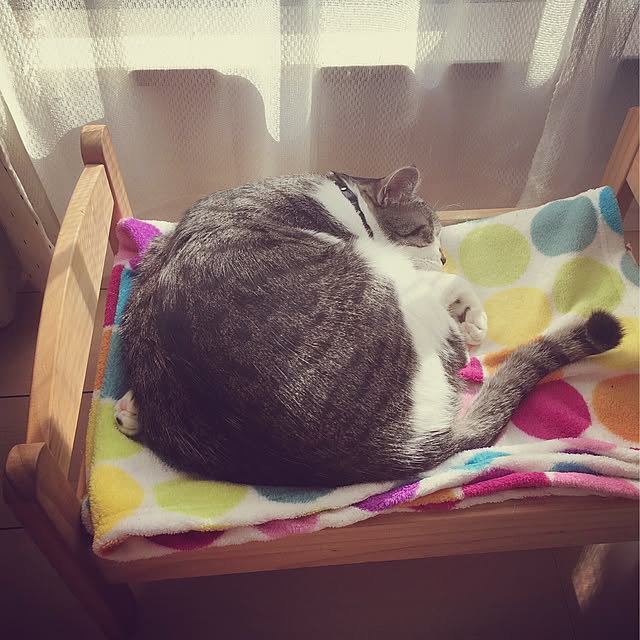 ...tomo...さんの実例写真