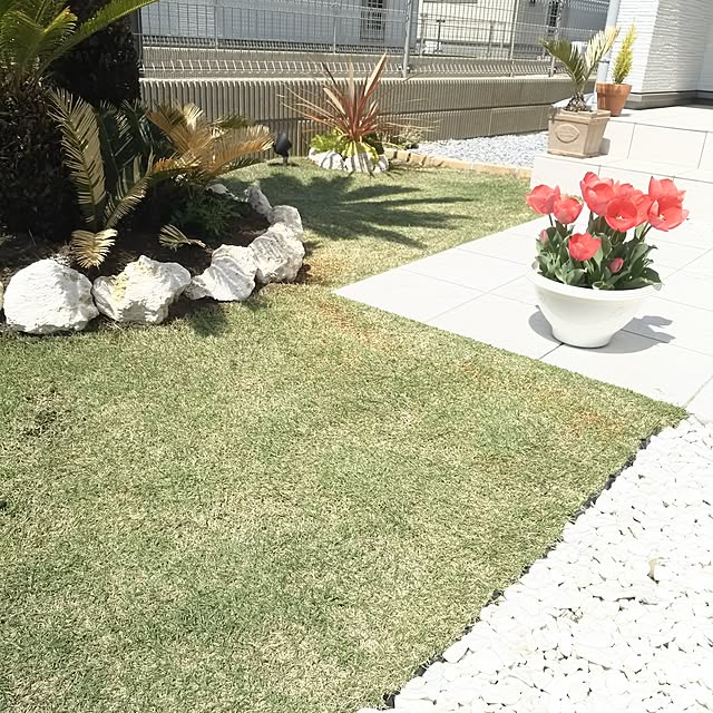 tomoさんの実例写真