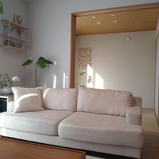 tan5さんの実例写真