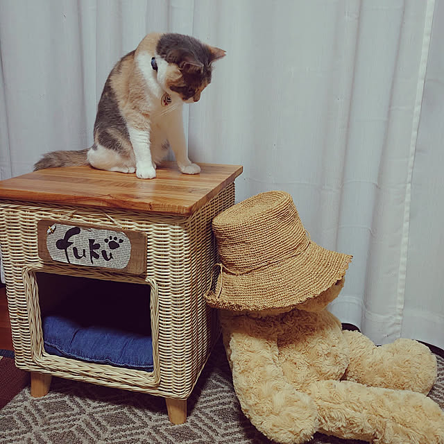 fukuさんの実例写真