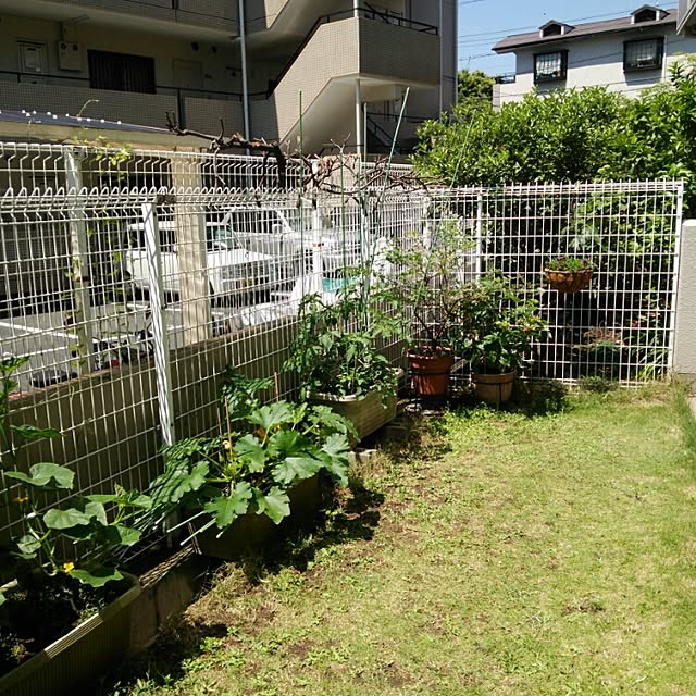 mami_fancyさんの実例写真
