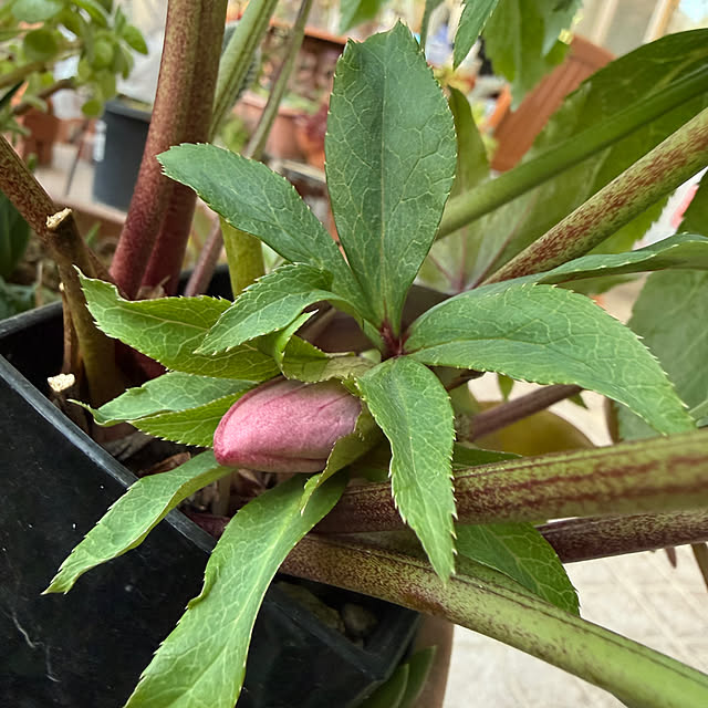 Aqettyさんの部屋