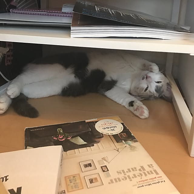 mi-mi-373さんの実例写真