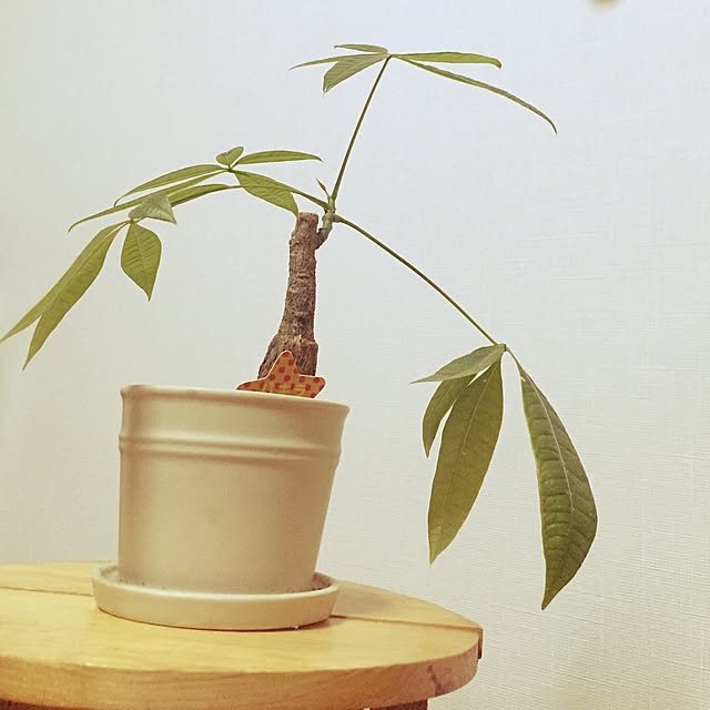 Chihiroさんの実例写真