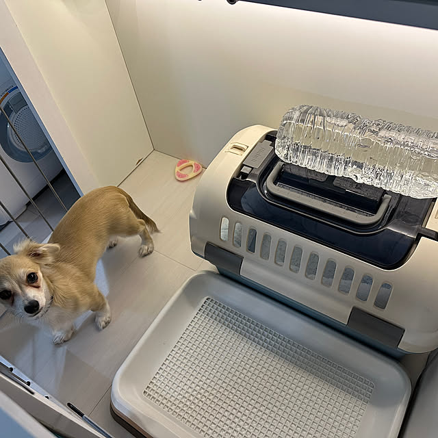 Rainyさんの部屋