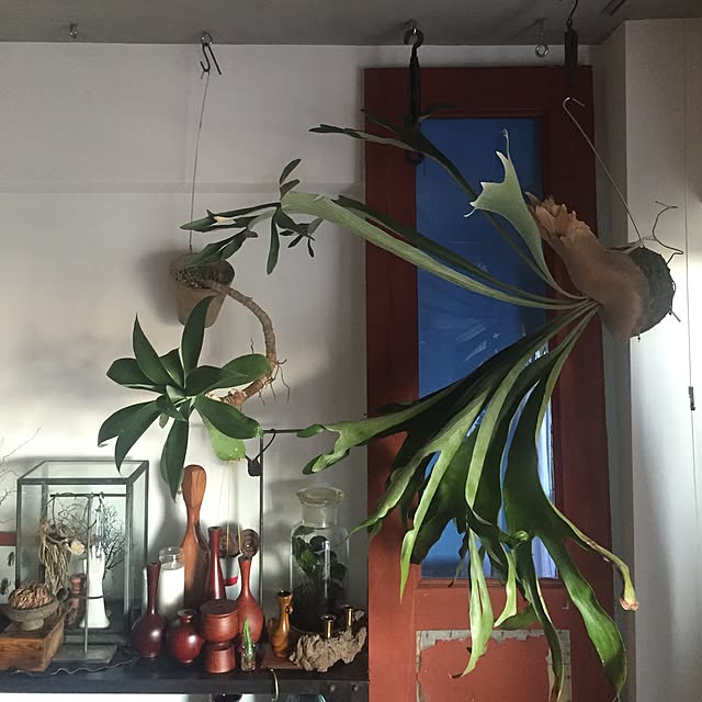 tkさんの実例写真