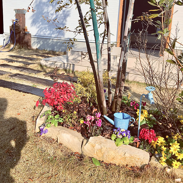 Yukoさんの実例写真