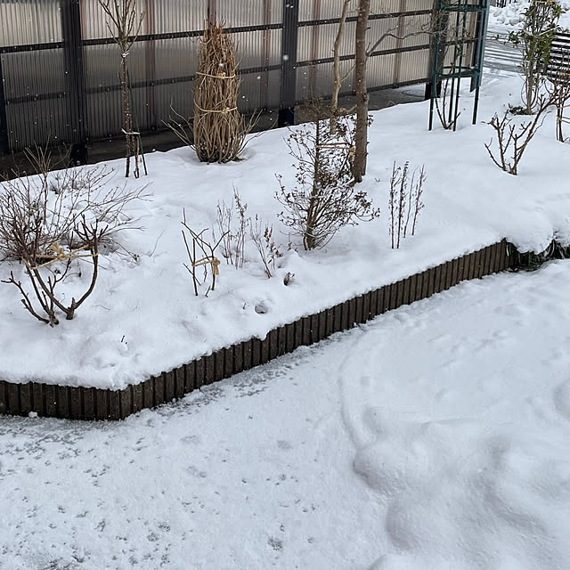 kakoさんの実例写真