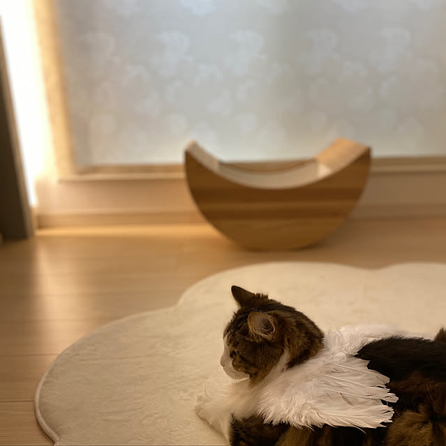 furitamaさんの実例写真