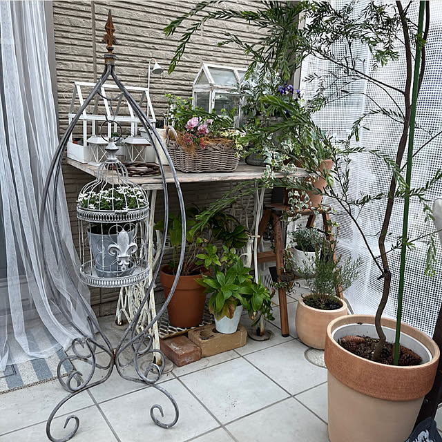 felicityさんの実例写真