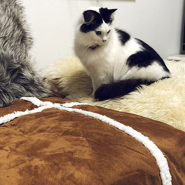 sayakaさんの実例写真
