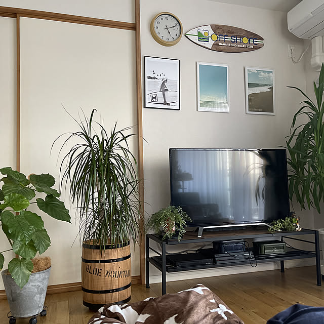 akkeyさんの実例写真