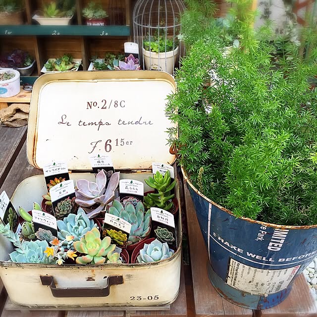 MAKIさんの実例写真