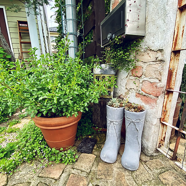 misacoさんの実例写真