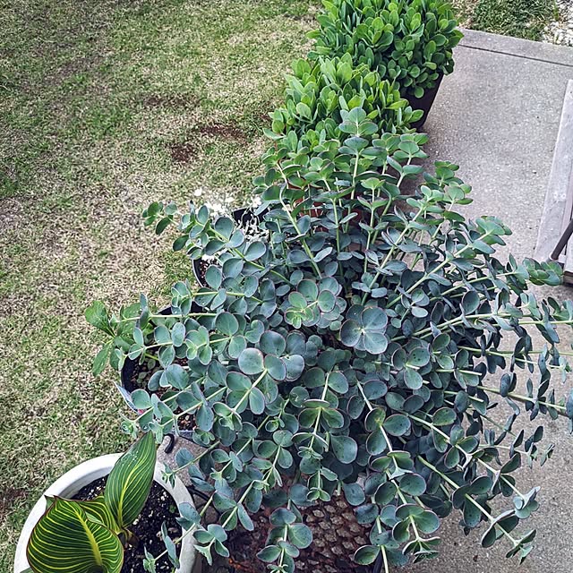 Renさんの実例写真