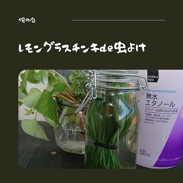 orenoniwa5nenさんの実例写真