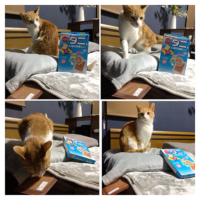 houenさんの実例写真