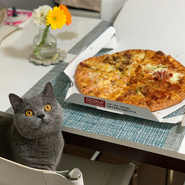 kittyさんの実例写真