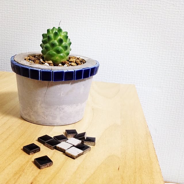steve-steigmanさんの実例写真