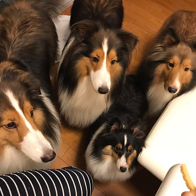 miiさんの実例写真