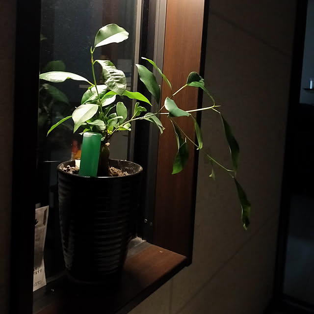 happypeopleさんの実例写真